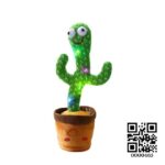 Dancing Cactus