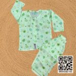AKW premium Cotton Full Sleeve Nima Pant Set