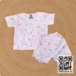 Half Sleeve Knit Cottton Nima Pant Set